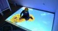 Interactive projections